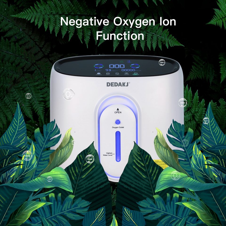 Home Use Oxygen Concentrator DD-Q1W - DEDA德迩杰